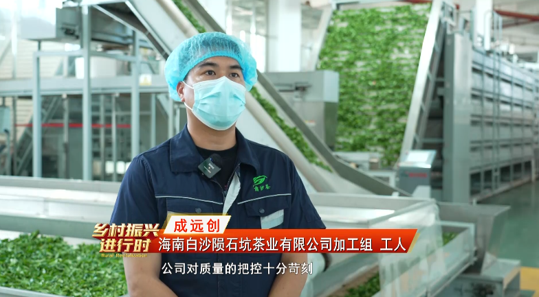 关于白沙：生态有机“薄沙茶” 品质优良美名扬的消息(3)