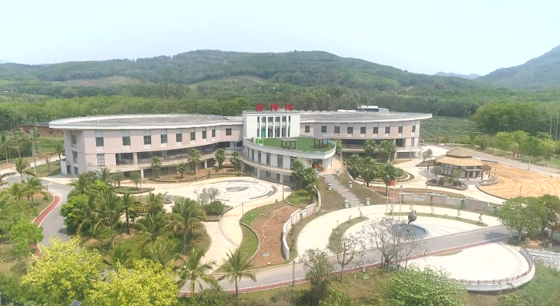 关于白沙：生态有机“薄沙茶” 品质优良美名扬的消息(10)