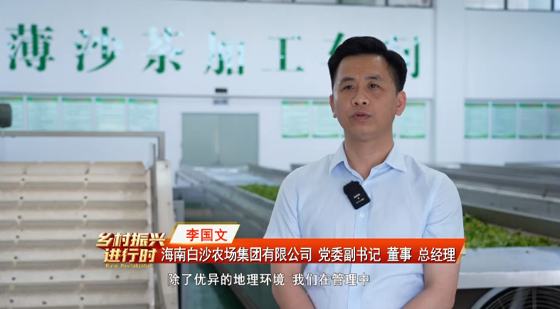 关于白沙：生态有机“薄沙茶” 品质优良美名扬的消息(1)