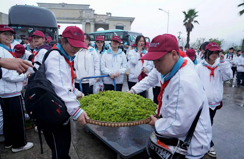 关于都匀400多名学生开启茶园研学之旅的信息(4)