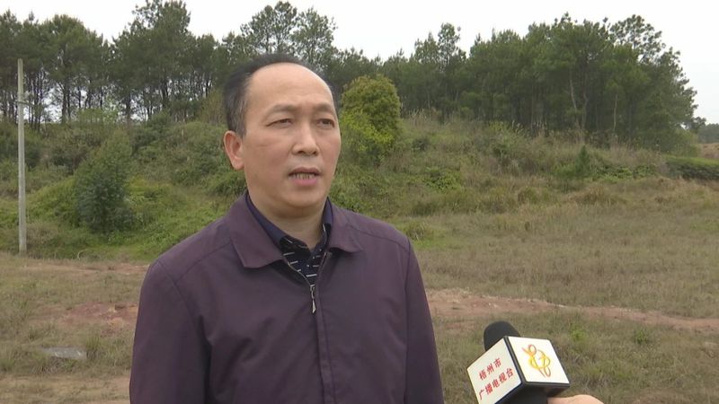 有关于《巩固拓展脱贫攻坚成果 全面推进乡村振兴》“双茶”套种优势互补 全市油茶林面积约23万亩的最新消息(5)