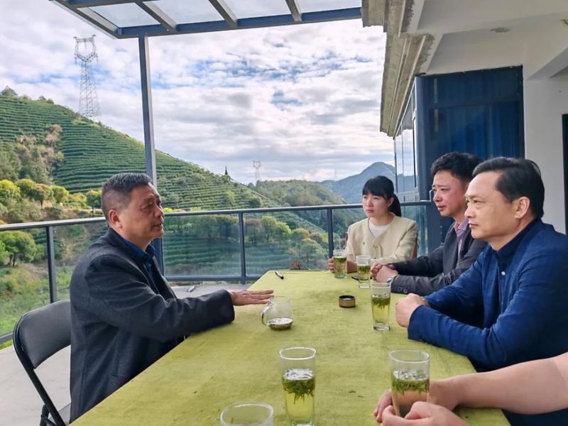 关于大港头镇人大护航春茶“抢鲜”上市的相关信息(1)