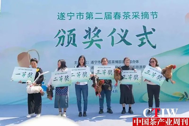 关于遂宁船山：一片茶叶串起“农文旅融合”产业链的新闻(2)