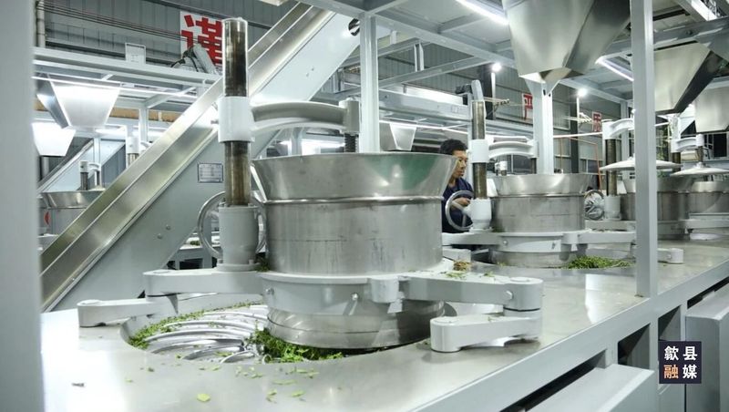 关于璜田乡：上春山采春茶 茶韵悠长促振兴的相关内容(6)