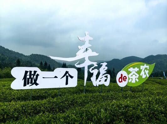 关于第16届贵州省茶产业博览会暨正安分会场系列活动开幕的相关信息(5)