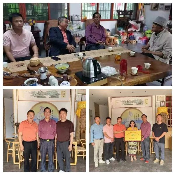 关于云南省级茶叶专家为景迈山高质量保护开发献策献计助力乡村全面振兴的消息