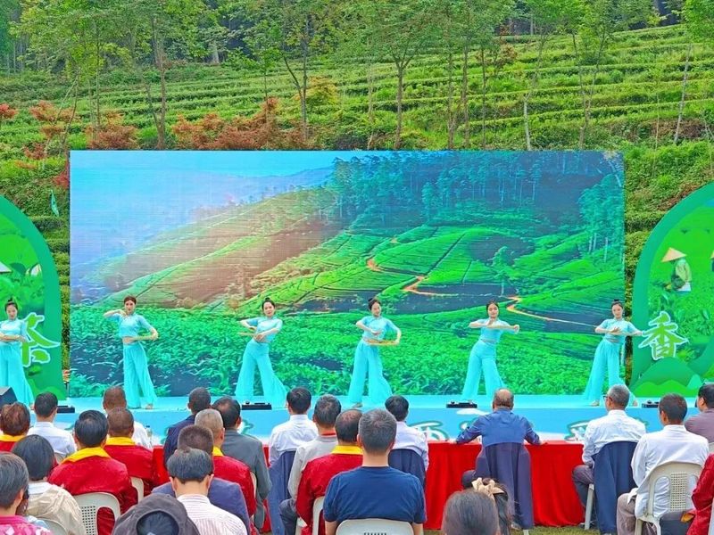 有关于泰宁县第五届“泰宁岩茶·茶香两岸”采茶节举办的相关信息(6)
