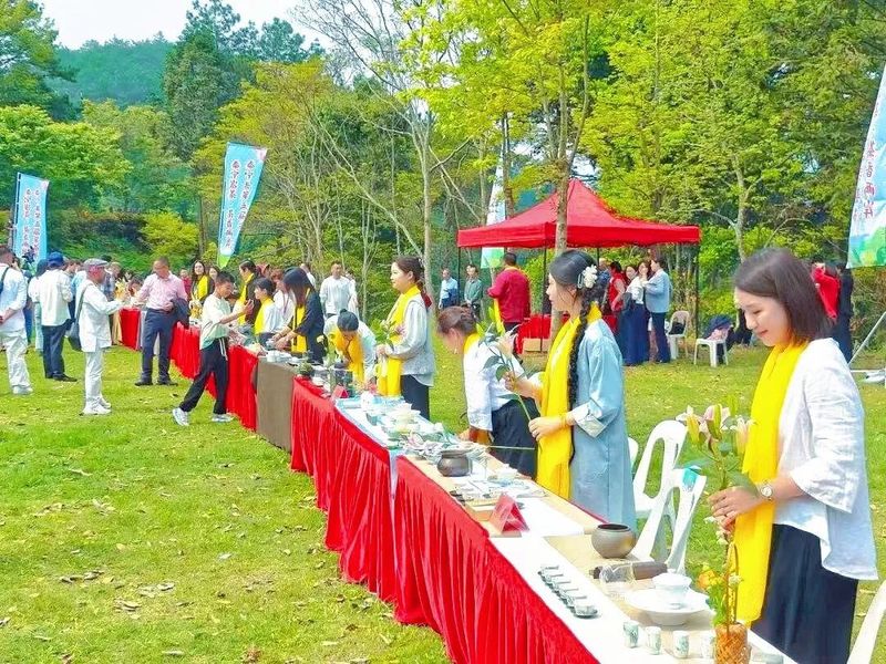有关于泰宁县第五届“泰宁岩茶·茶香两岸”采茶节举办的相关信息(8)