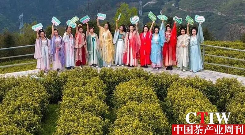 关于浙江畅享茶香盛宴！缙云请你喝黄茶的相关内容