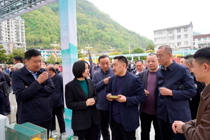 关于40名镇巴“高手”切磋“铁砂掌”的相关信息(5)