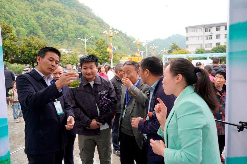 关于40名镇巴“高手”切磋“铁砂掌”的相关信息(6)