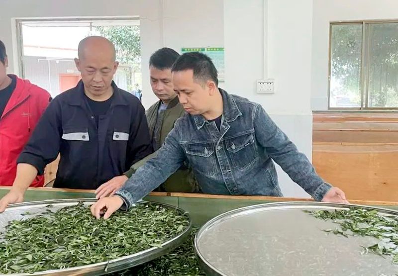 关于大源镇“微课堂”进茶企 注入“茶动力”的相关信息(1)