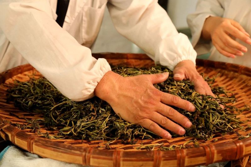 关于宁洱：做好绿色茶文章 共享健康产业福利的内容(4)