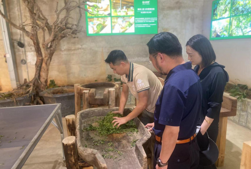 关于云南省普洱茶协会走访临沧茶企的信息(1)