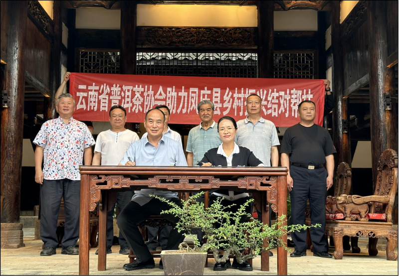 关于走进昔归见证云茶拓进，结对凤庆助力乡村振兴，云南省普洱茶协会在行动的消息(11)