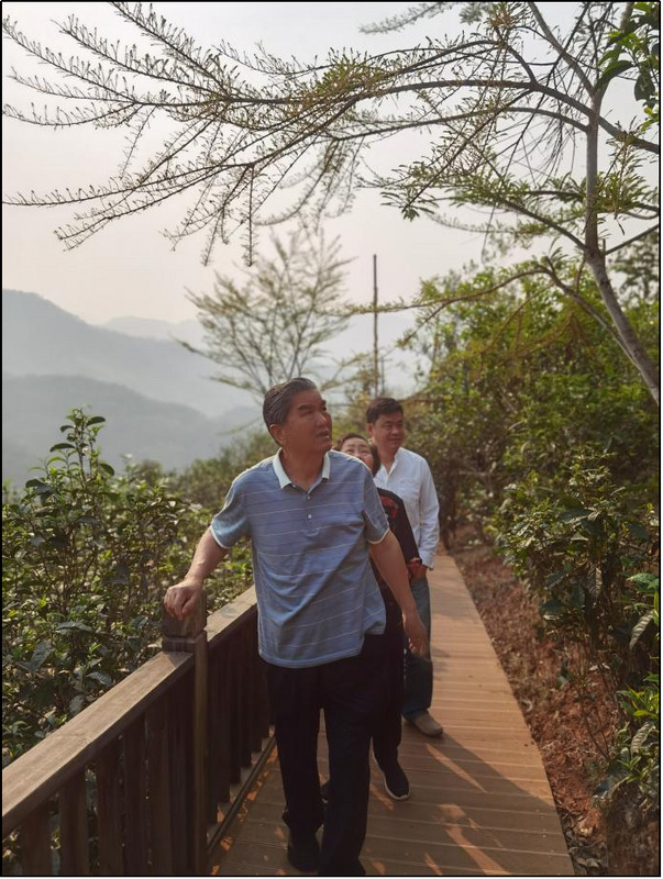 关于走进昔归见证云茶拓进，结对凤庆助力乡村振兴，云南省普洱茶协会在行动的消息(4)