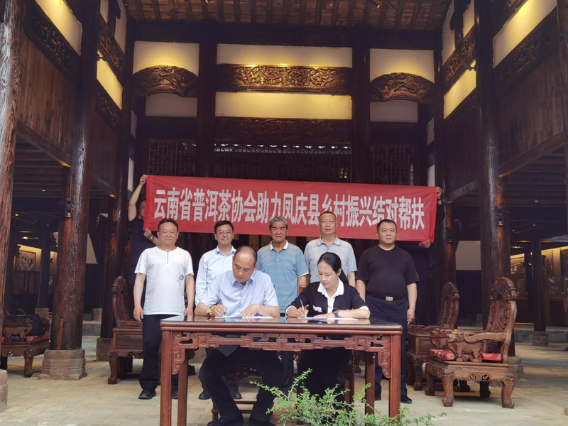 关于走进昔归见证云茶拓进，结对凤庆助力乡村振兴，云南省普洱茶协会在行动的消息(10)