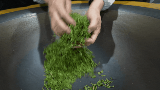 关于汉中镇巴:巧手匠心,持守真味!镇巴唯一国家级制茶大师手工制茶展技艺的相关内容(3)