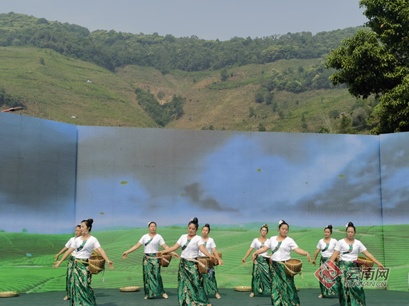 有关于首届勐库大叶种茶开茶节举办的相关内容(2)