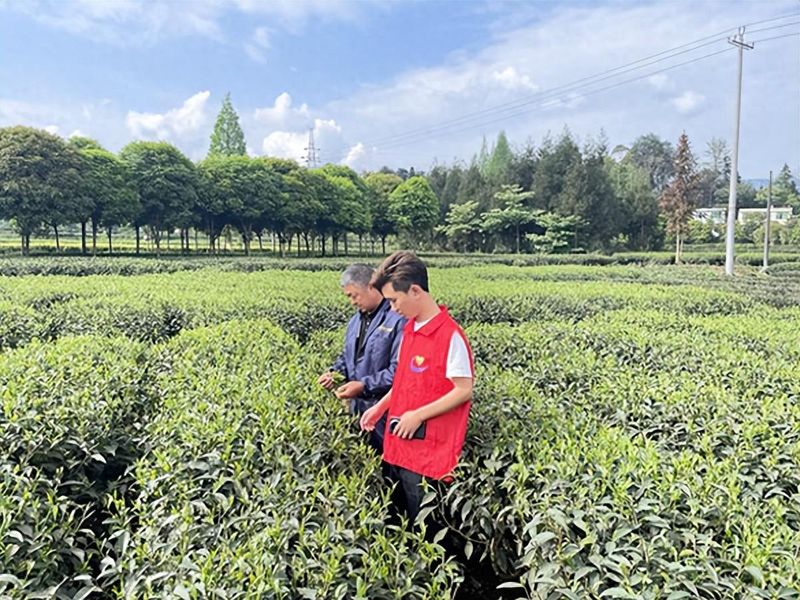 有关于推动科技与农业深度融合，助推乡村振兴的相关内容