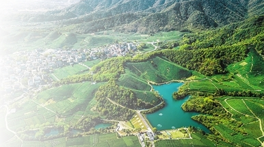 有关于龙井茶乡育出新质生产力的消息