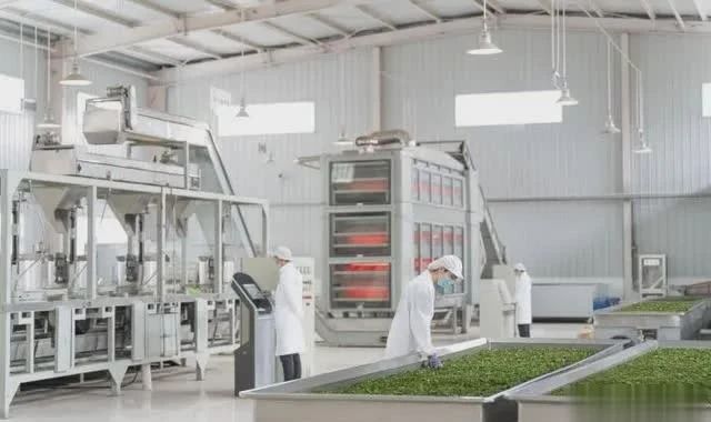 关于从“春茶一季”到“四时有收” 秦巴茶乡如何突围?的最新消息(3)