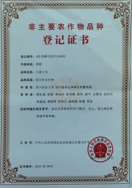 关于统筹科技人才 推动名山区茶产业新质生产力发展的信息(3)