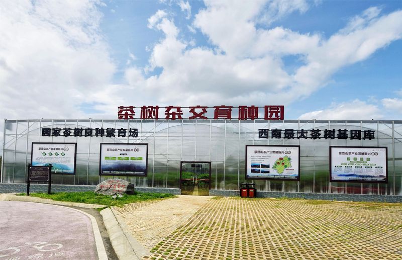 关于统筹科技人才 推动名山区茶产业新质生产力发展的信息(8)