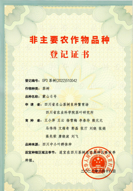 关于统筹科技人才 推动名山区茶产业新质生产力发展的信息(2)