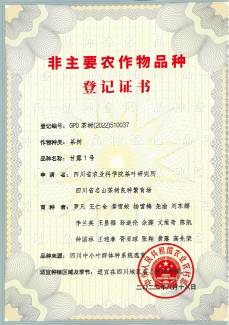 关于统筹科技人才 推动名山区茶产业新质生产力发展的信息