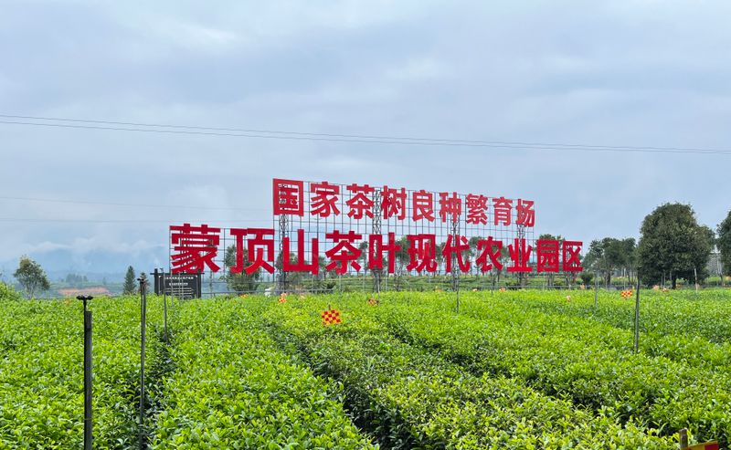 关于统筹科技人才 推动名山区茶产业新质生产力发展的信息(9)