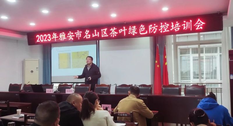 关于统筹科技人才 推动名山区茶产业新质生产力发展的信息(7)