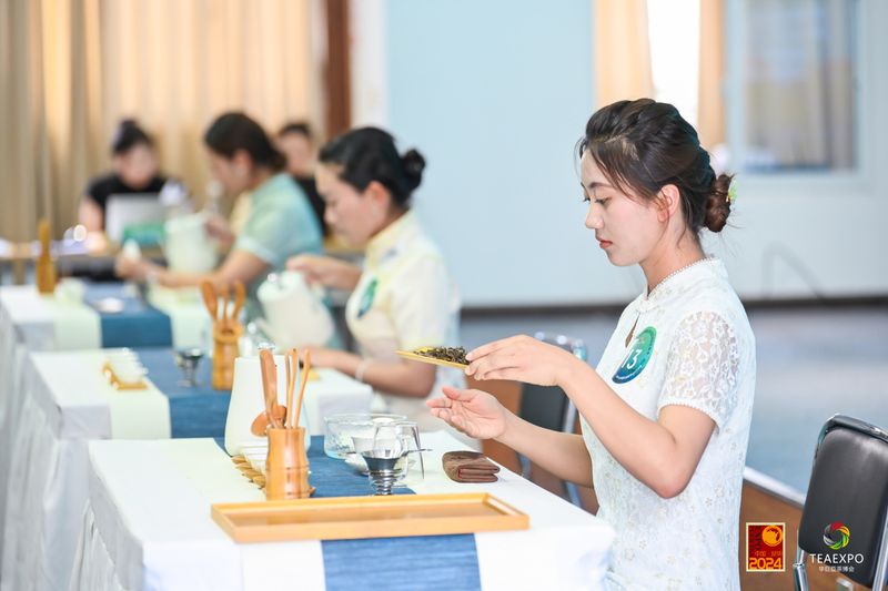 有关于第十一届茗星茶艺师全国评选大赛·云南分赛（初赛）成功举办！的内容(5)