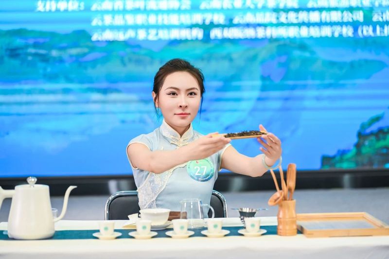 有关于第十一届茗星茶艺师全国评选大赛·云南分赛（初赛）成功举办！的内容(17)
