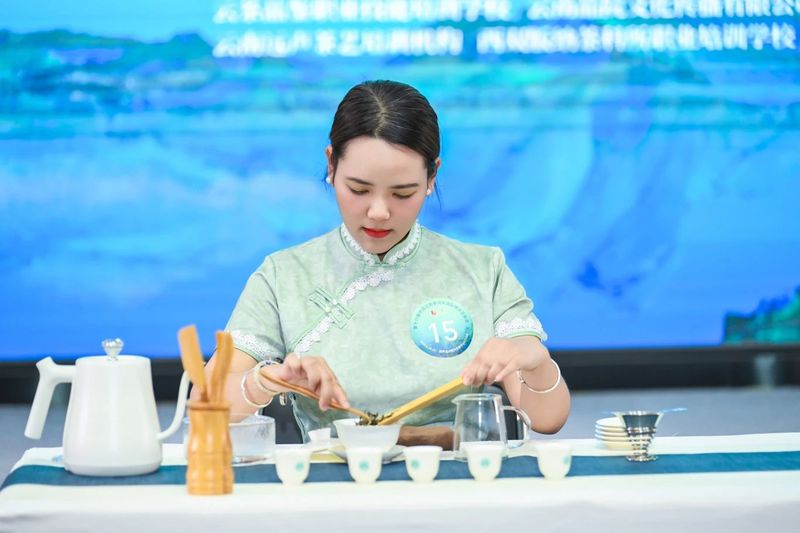 有关于第十一届茗星茶艺师全国评选大赛·云南分赛（初赛）成功举办！的内容(15)