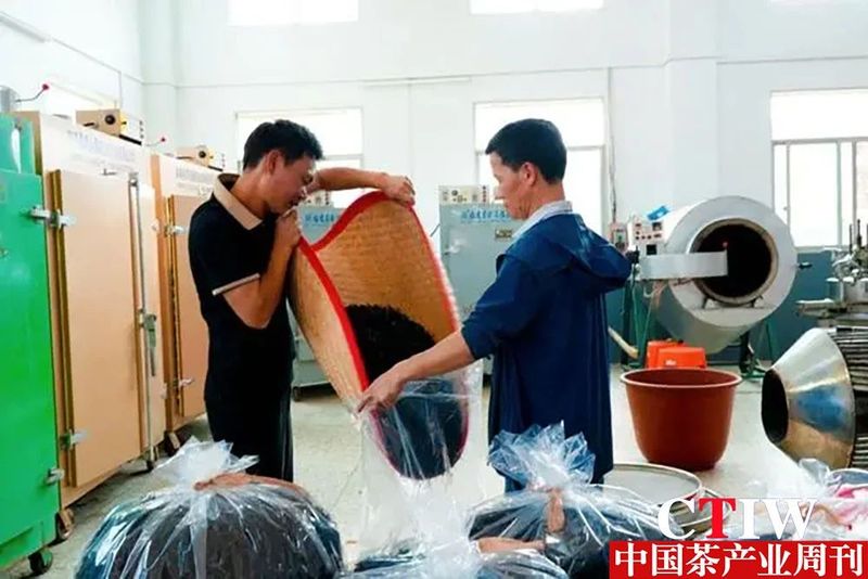 有关于永定：茶叶变茶“业” 富了村民美了乡村的内容(6)