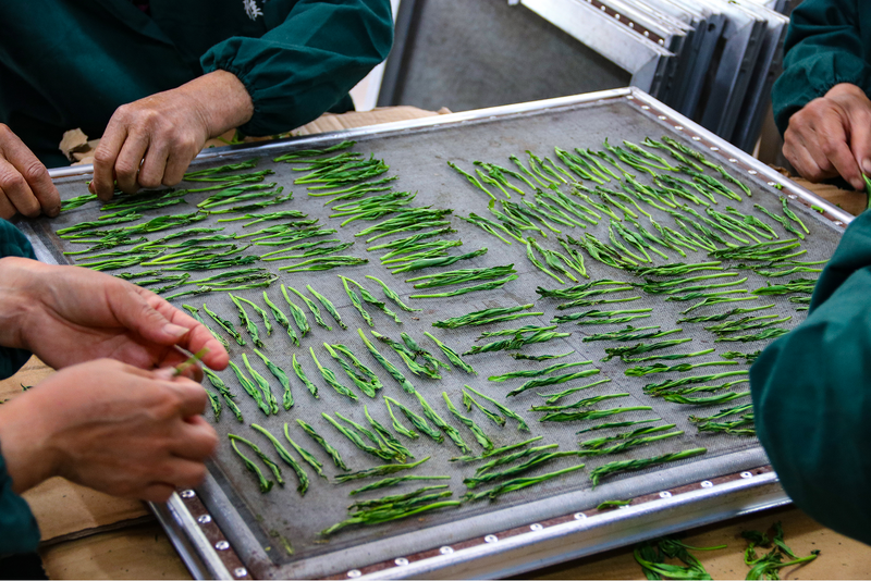 关于太平猴魁全面开园上市的消息(10)