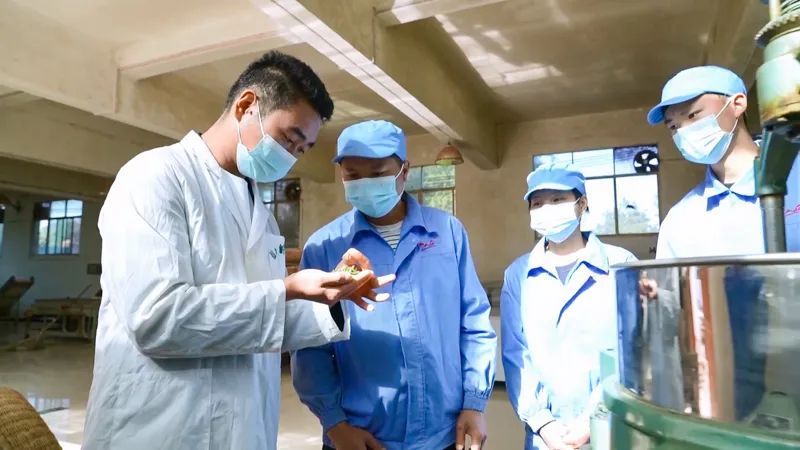 关于凤冈:打造“凤头羽”新品牌 开辟茶产业“新赛道”的内容(6)