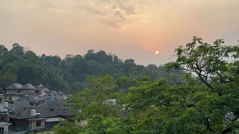 有关于普洱市景迈山 守望千年茶香的资讯(4)