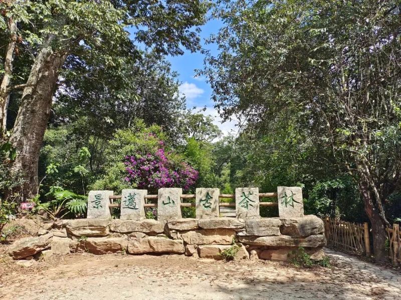 有关于普洱市景迈山 守望千年茶香的资讯(1)