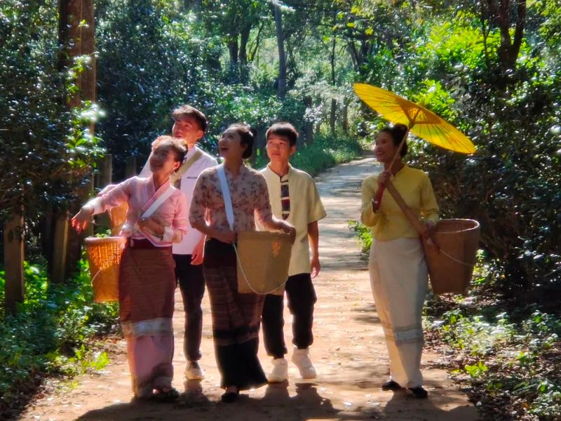 有关于普洱市景迈山 守望千年茶香的资讯(3)