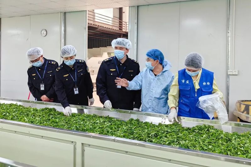 有关于乐昌：严抓茶叶质量安全 助力乡村产业振兴的新闻(1)