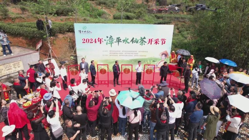 关于漳平市举办2024年漳平水仙茶开采节的最新消息