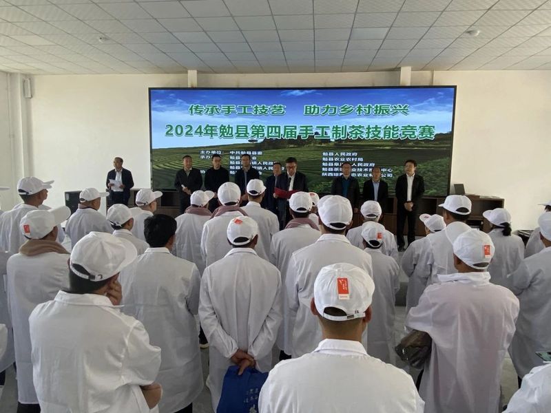 有关于勉县举办第四届手工制茶技能竞赛的相关信息