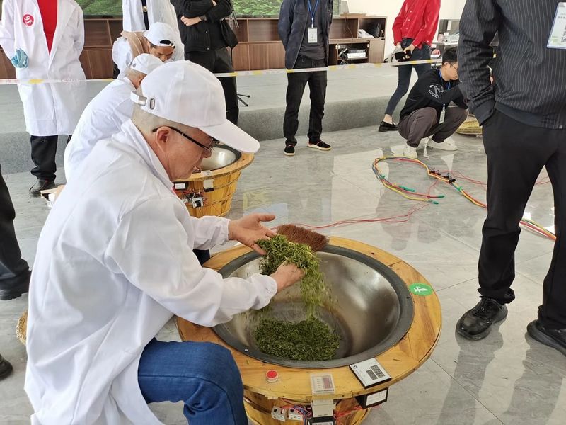 有关于勉县举办第四届手工制茶技能竞赛的相关信息(1)