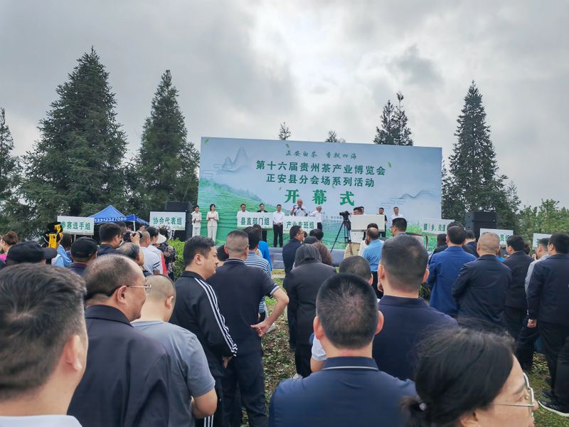 关于第16届贵州省茶产业博览会正安分会场系列活动今日启动的资讯