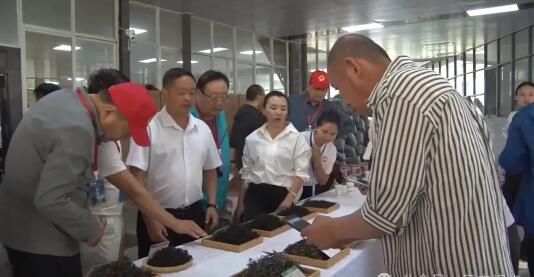有关于2024凤庆红茶节 行走茶山 溯源滇红的相关内容(2)