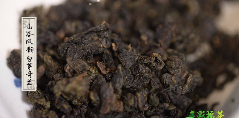 有关于福建平和:一缕柚香撬动一个茶产业的内容