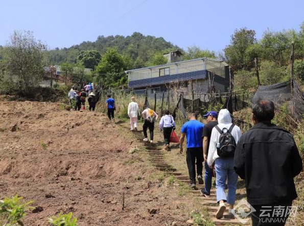 关于探寻“文旅+茶产业”新路径 2024又见茶马古道行活动在普洱举办的资讯(2)