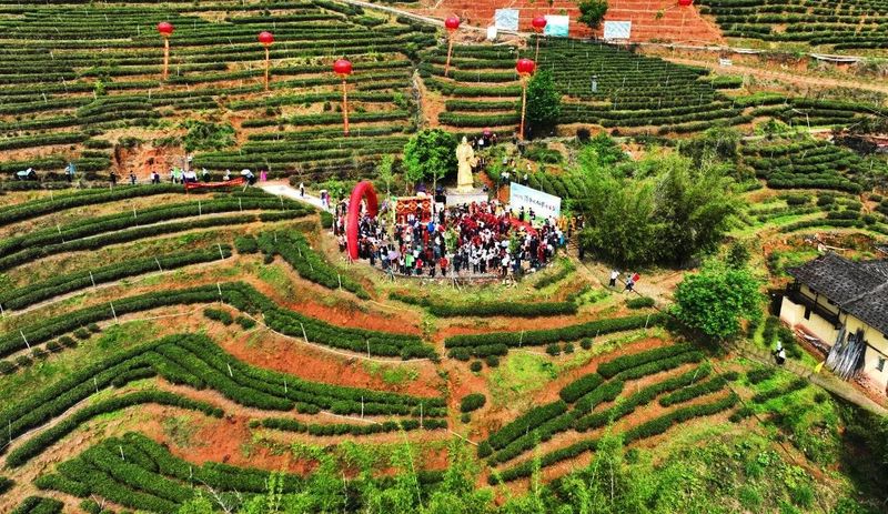 有关于2024年漳平水仙茶开采节圆满成功，邓大沿茶业漳平水仙春茶开采的最新消息